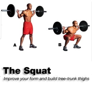 squat3.jpg