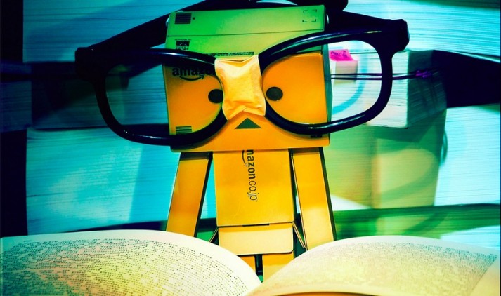 Danbo Glasses