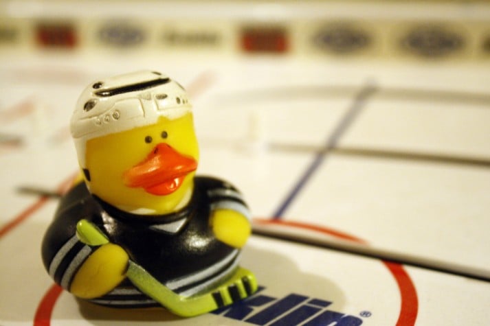 hockey duck