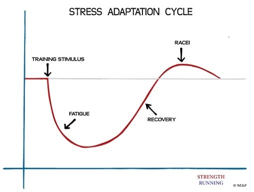 Stress Adaptation