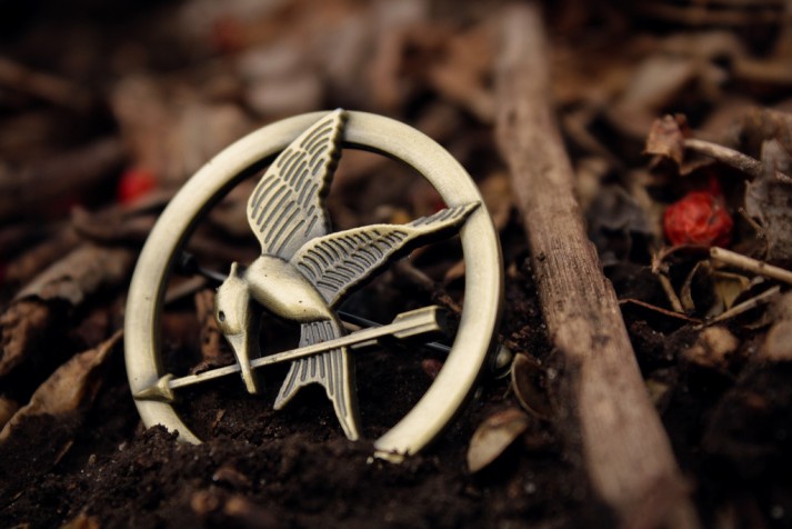 Mockingjay