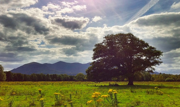 A Beginner’s Guide to Hiking: Everything You Need to Know