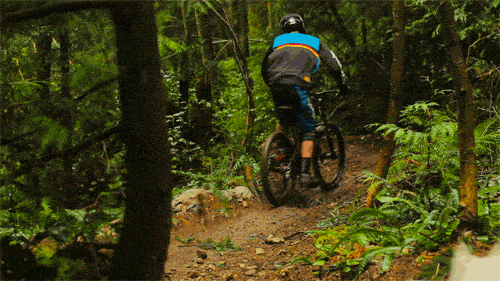 This gif shows some mountain biker heading down a trail, being chased by a dog.