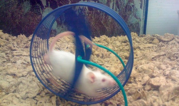 5 Hacks to Effortlessly Build Healthy Habits in 2018