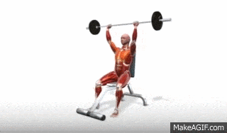A man without skin doing the overhead press...creepy.