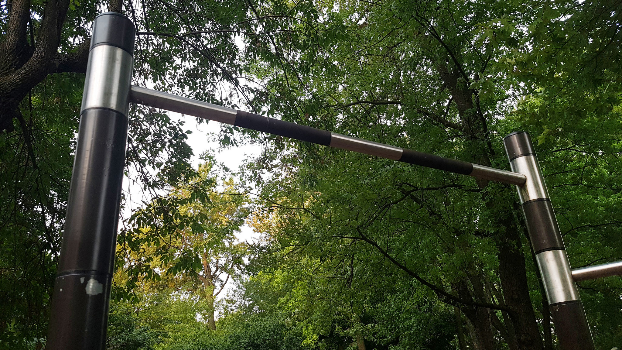 A pull-up bar in the forest, which means you can do bodyweight training here. 