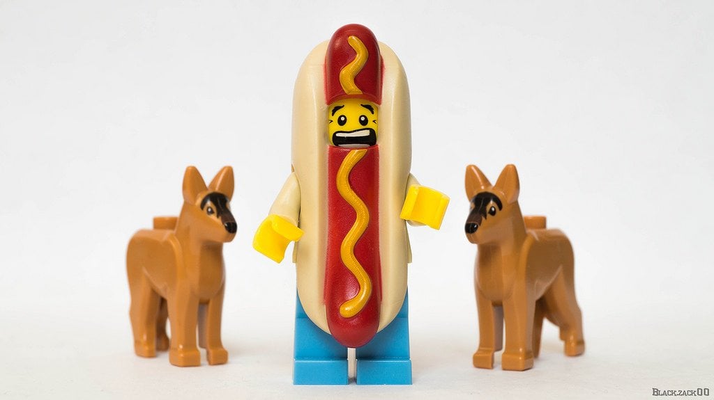 This hot-dog man should be worried, because those dogs will definitely eat some Keto friendly meat. 