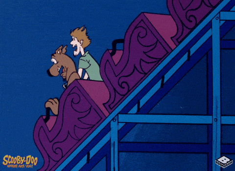 It doesn't look like Scooby and Shaggy like wooden rollercoasters either.