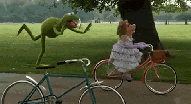 Kermit loves interval training on his bike.