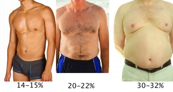 This picture shows different body fat %.
