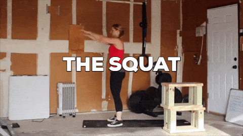 The squat movement as shown here.