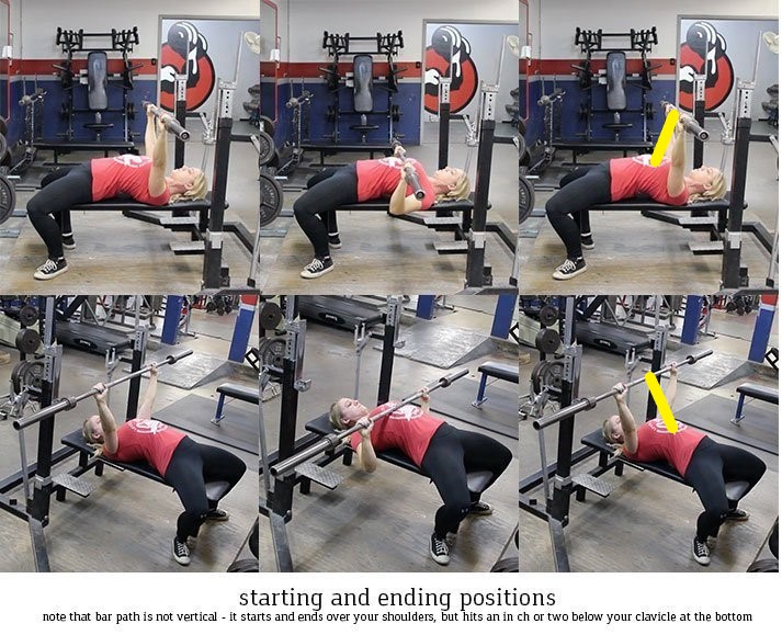 Bench Press Beginner