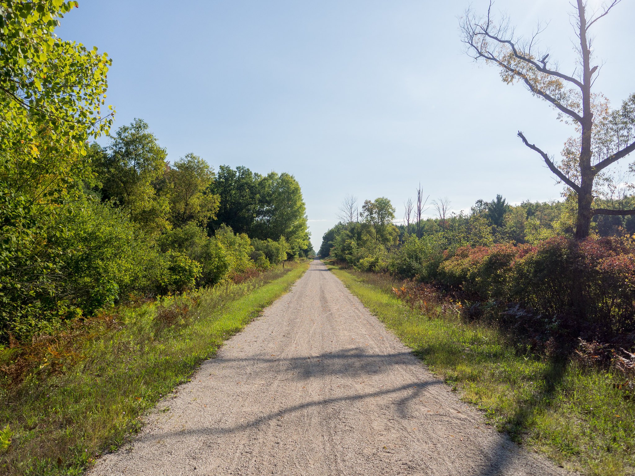If you can find a good one, gravel trails are the way to go for running.