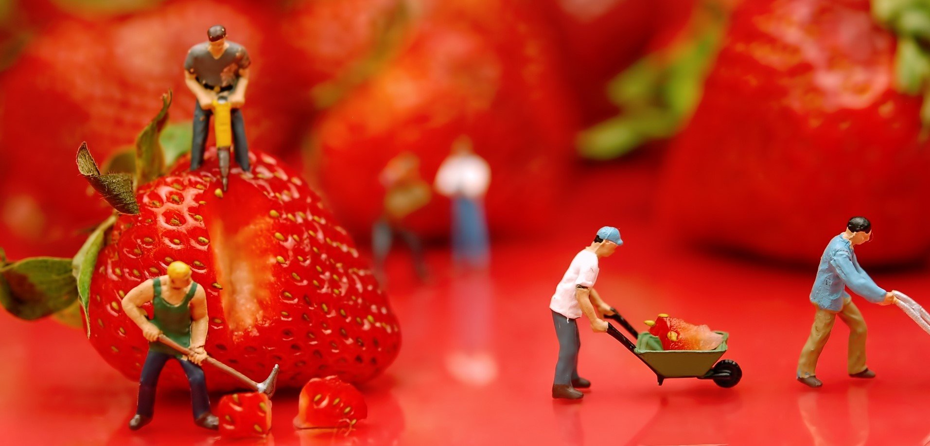 strawberry workers - Should I Eat Fruit? Is Fruit Good for You?