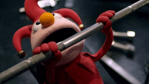 Este Muppet sabe que el entrenamiento de fuerza lo ayudará a aumentar la masa muscular y perder grasa.