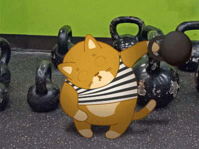 This cat loves doing a beginner kettlebell workout for strength