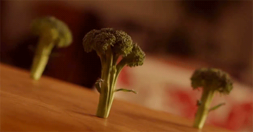 dancing broccoli - How to Start Eating Healthy (Without Giving Up Food You Love)