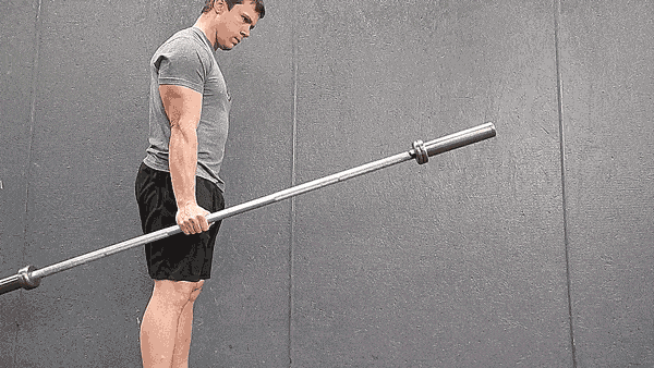 Do barbell levering to improve grip strength and mobility