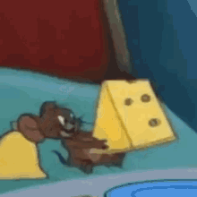 This mouse knows eating cheese can make vegetables taste better