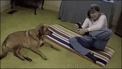 This dog appears to be more flexible than this woman, which is hilarious.