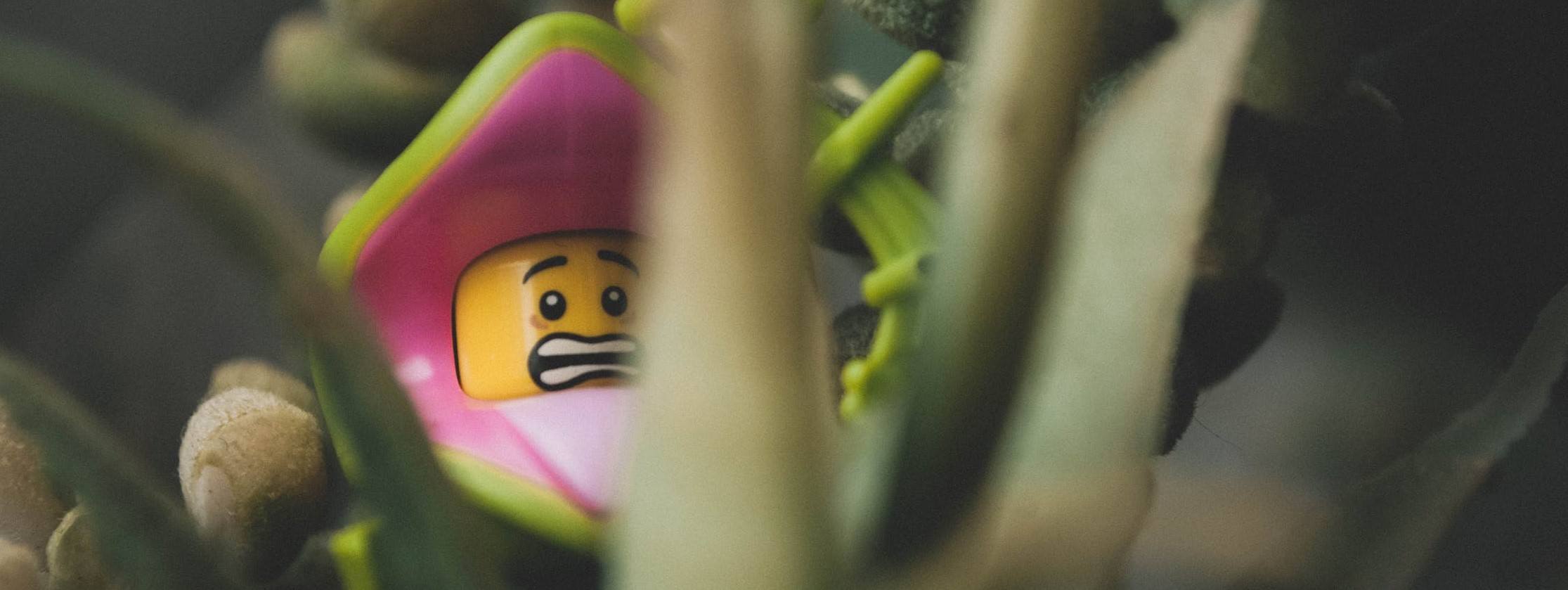 This LEGO looks worried, probably because he doesn't know what to eat.