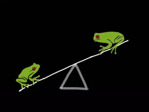 A gif of frogs on a seesaw, who probably balance their protein intake by eating lots of flys.