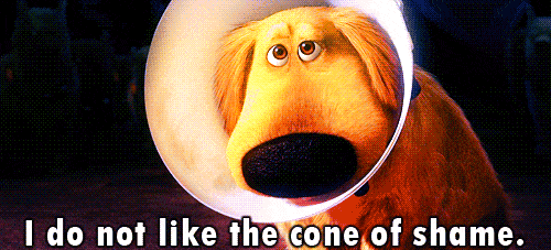 A gif of the Up dog saying "I do not like the cone of shame."