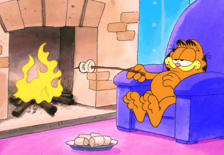 Garfield sitting by fire