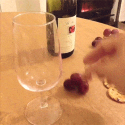 Grapes turning into wine