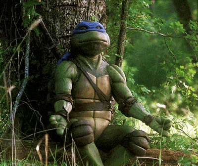 A gif of Leonardo meditating.