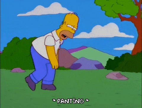 A Homer Simpson walking GIF with text that reads panting