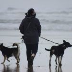 Ranada walking on the beach with her two dogs