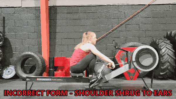 row machine shoulder shrug - How to Use a Rowing Machine (3 Workouts)