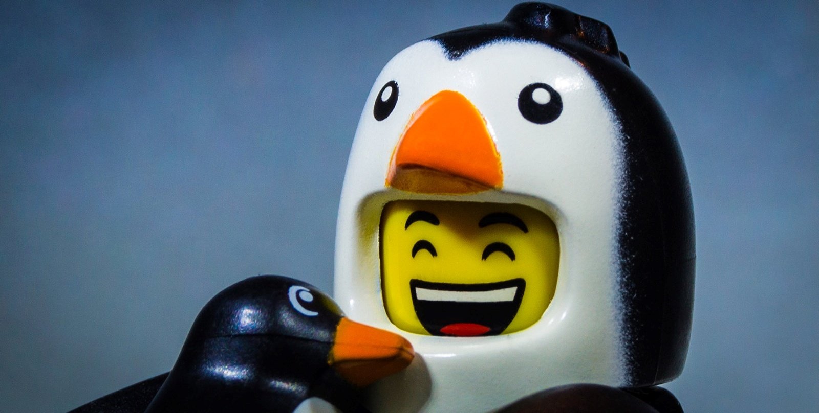 lego penguin - The 8 Best at Home Workouts (No-Equipment!)